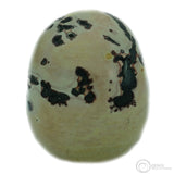 Chinese Paint Stone Skull (CP04)