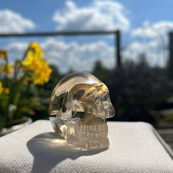 **Reserved for Nicola** Citrine Skull