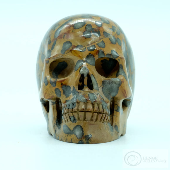 Jasper Human Skull (J01)