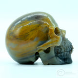 Man-Made Human Skull (MM01)