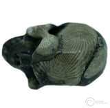Frosterley Marble Skull
