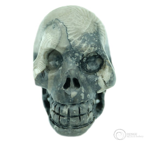 Frosterley Marble Skull
