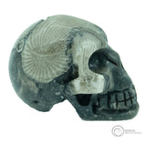 Frosterley Marble Skull