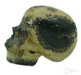 Chinese Paint Stone Skull (CP03)