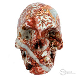 Mixed textures and colours of red, orange , grey and white on large sized human skull
