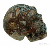 Rosetta Stone Skull