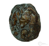 Rosetta Stone Skull