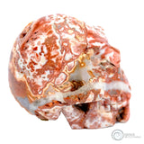 Rosetta Stone Skull