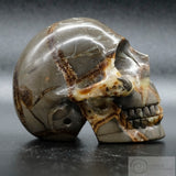 Septarian Human Skull (Sep02)