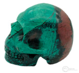 Sonora Sunrise Skull