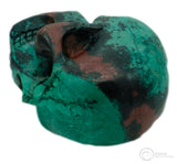 Sonora Sunrise Skull